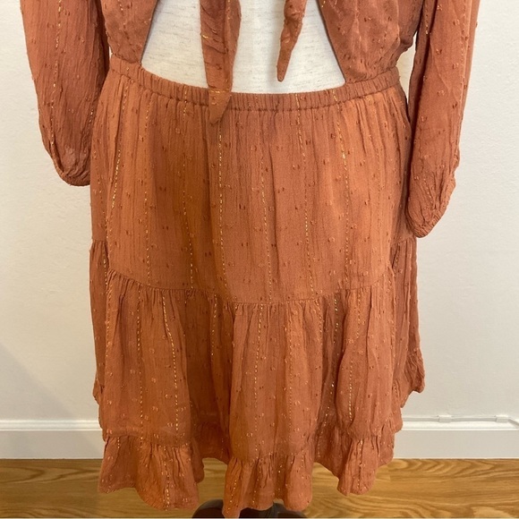 L*Space Stay Golden Mini Dress  in Brown XSmall - Picture 5 of 13